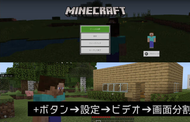 マイクラスイッチ二人プレイできない テレビ画面分割を左右にするやり方も紹介 Kid Blog